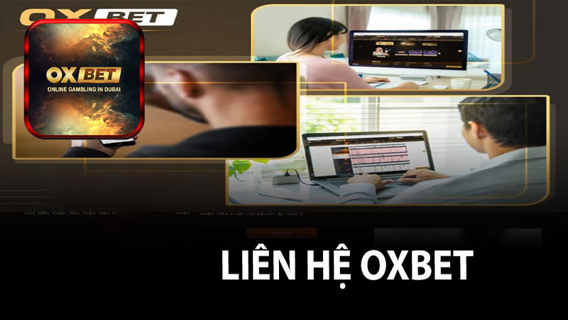 Khái quát tổng quan chung về trang liên hệ Oxbet