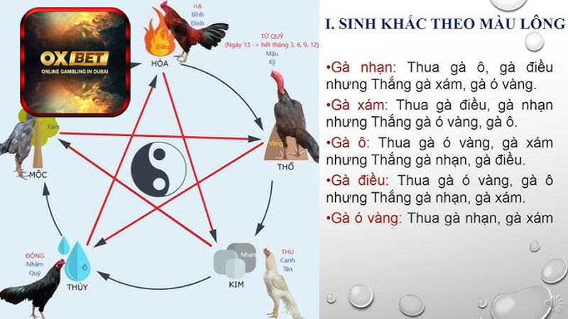 Có nên tin tưởng vào màu mạng đá gà hay không?