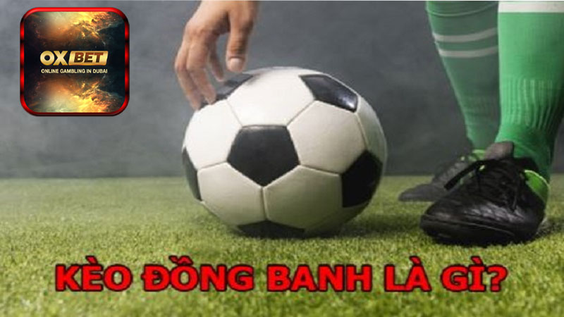 Chiến thuật cá cược kèo đồng banh hiệu quả tại Oxbet