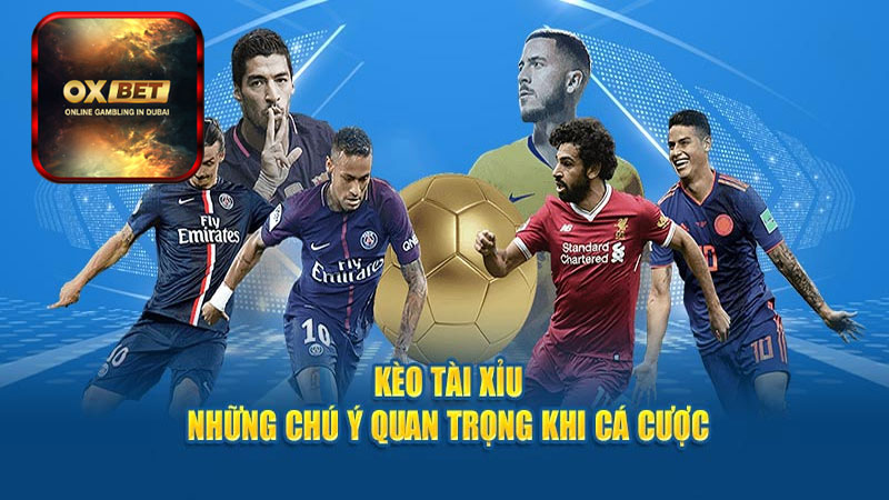 Cách tính toán kèo và đặt cược chính xác tại Oxbet